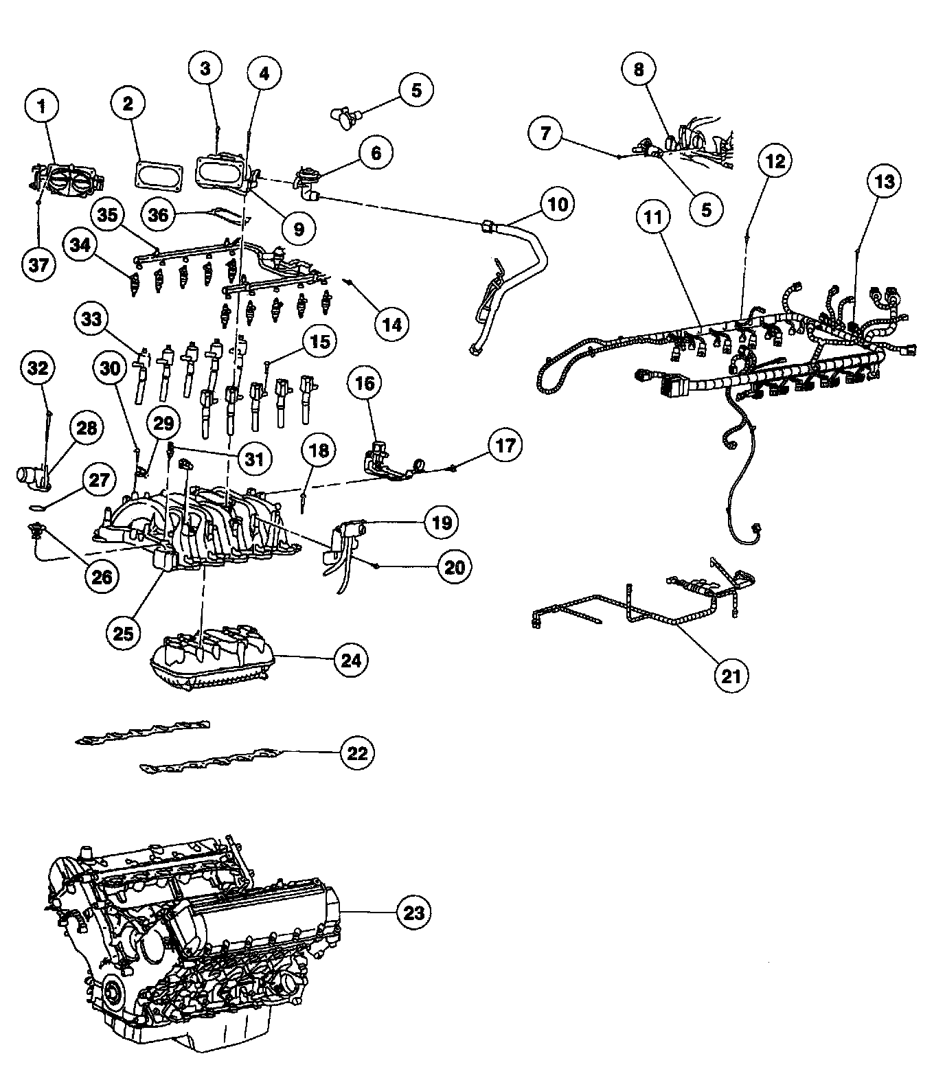 Factory service manual diagram