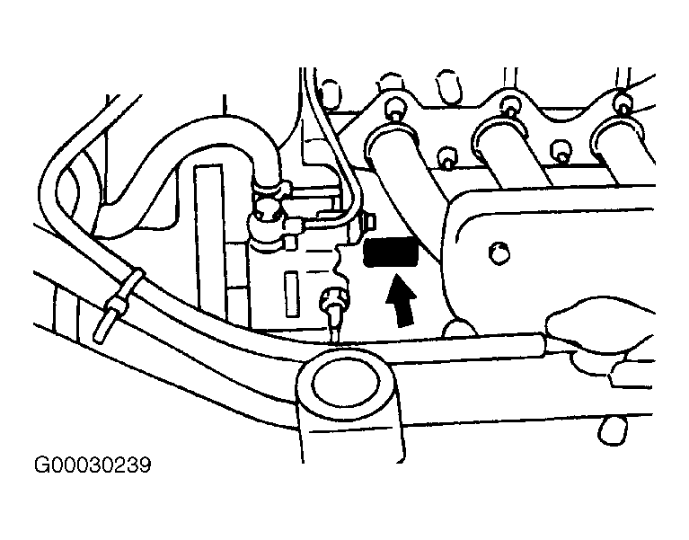 G00030239
