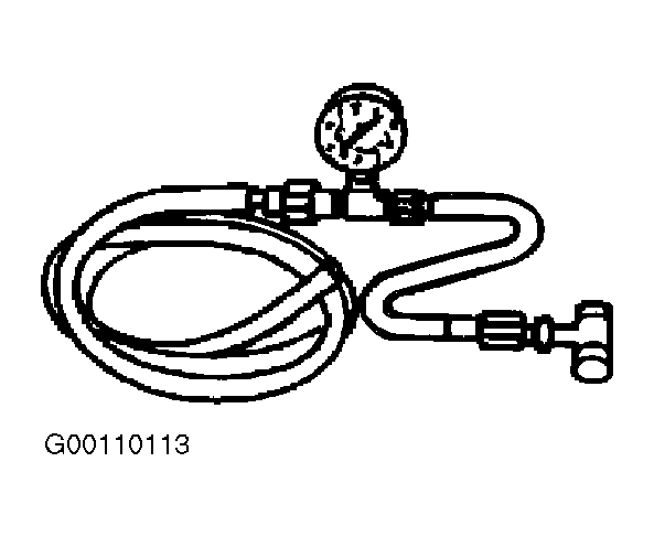 G00110113
