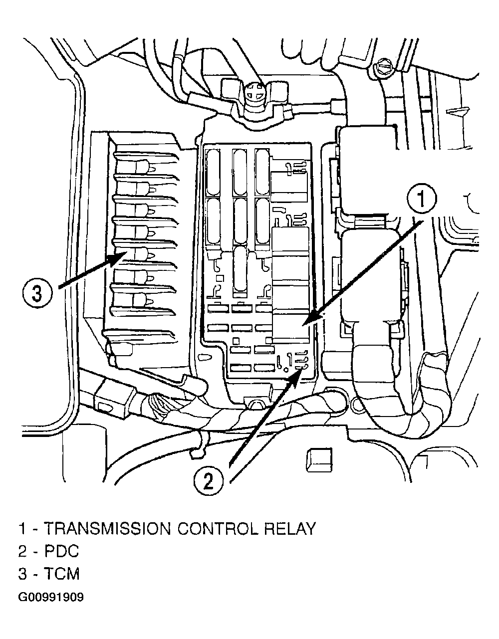 G00991909