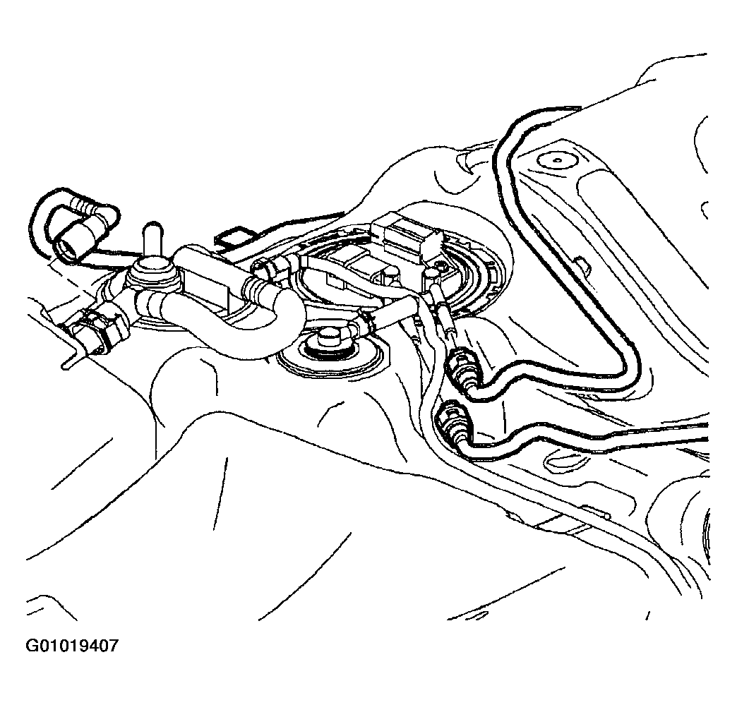 G01019407