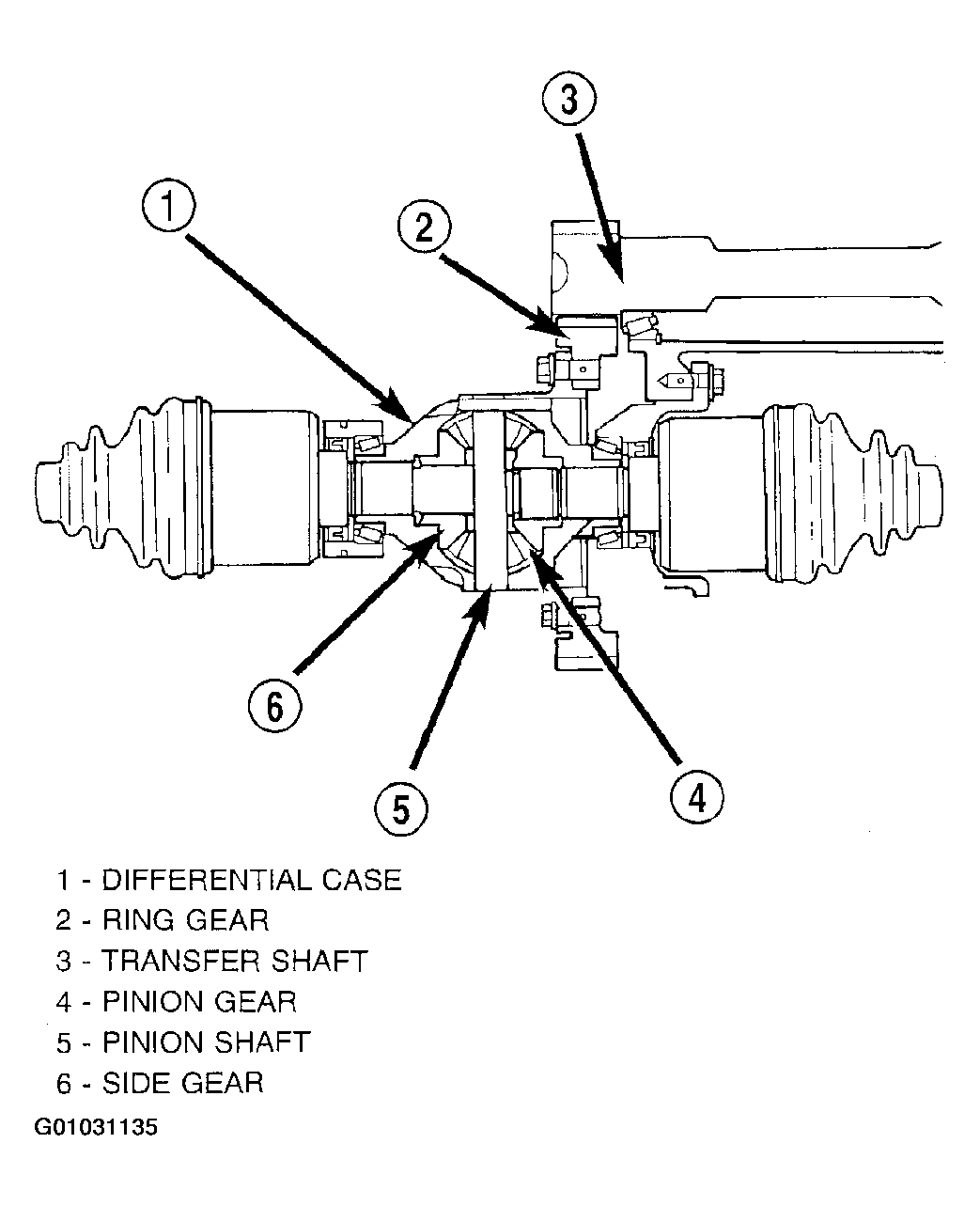 G01031135