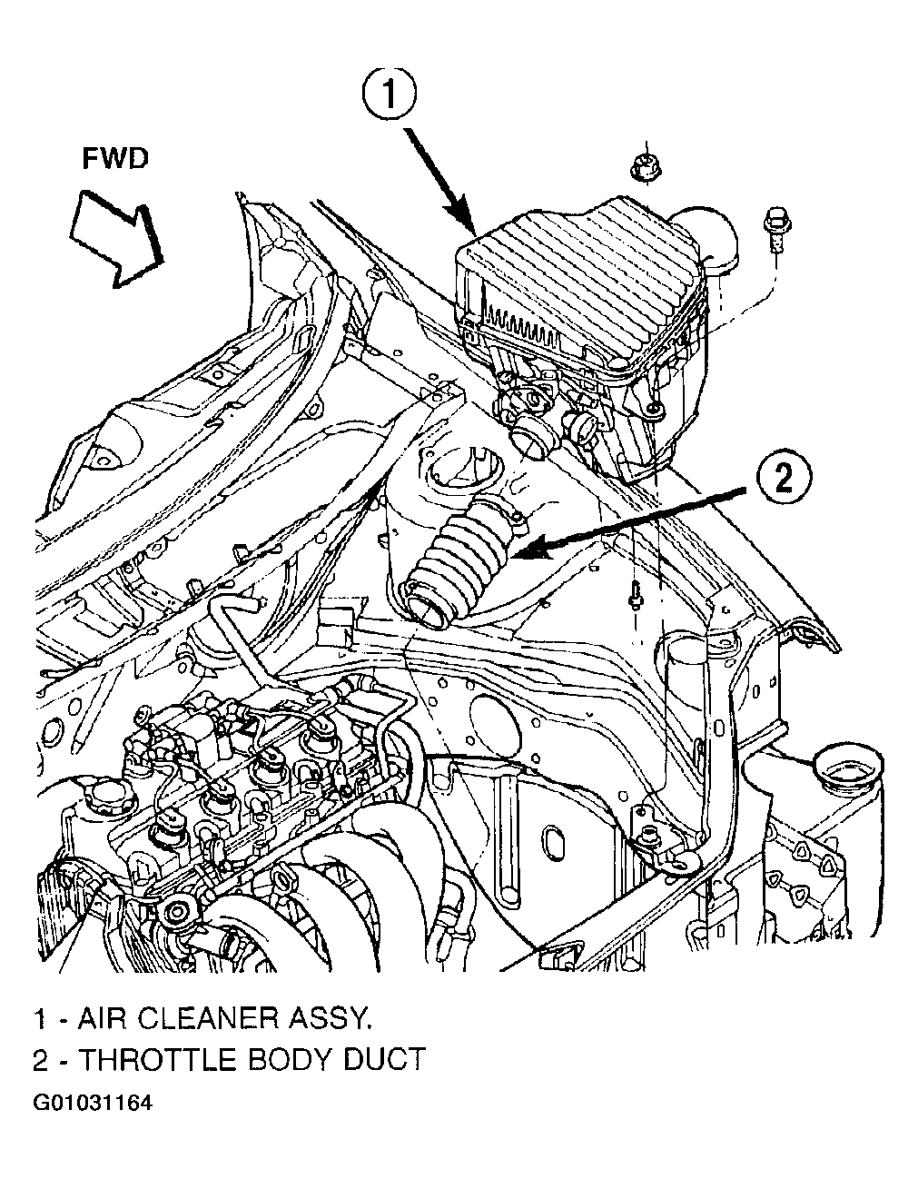 G01031164