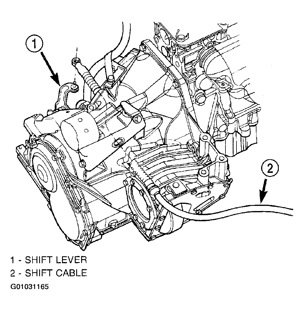 G01031165