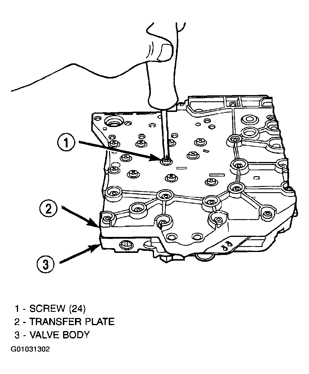 G01031302