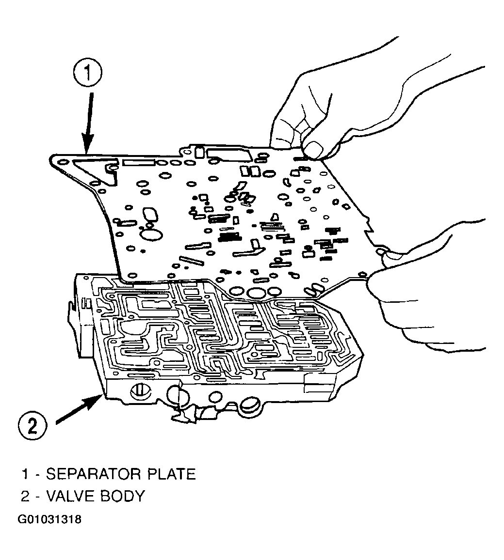 G01031318