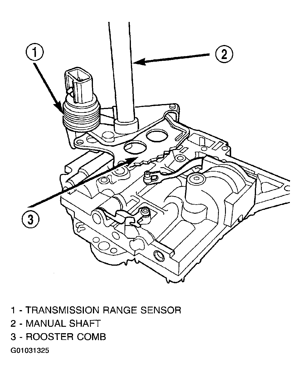 G01031325