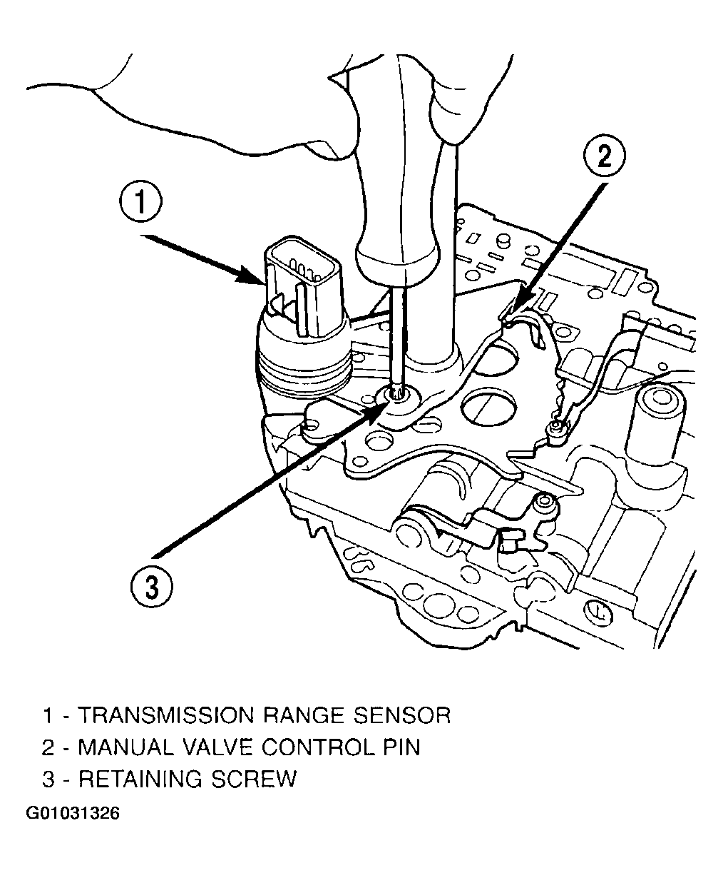 G01031326