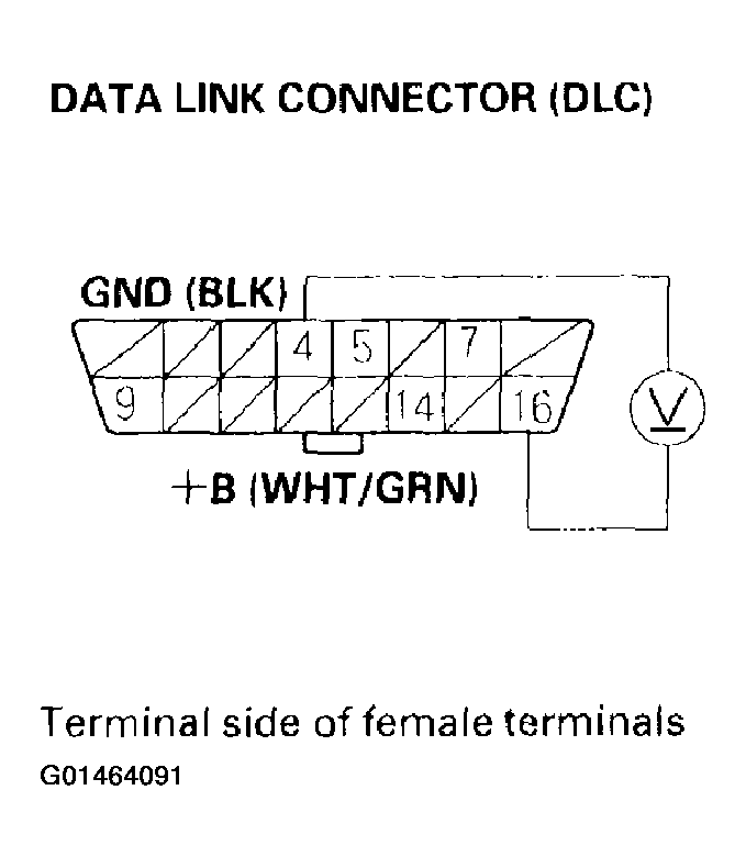 G01464091