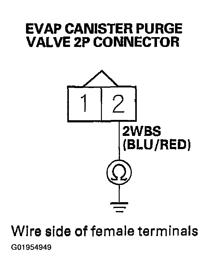 G01954949