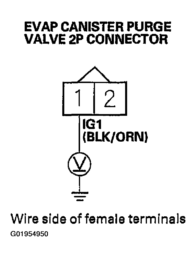 G01954950