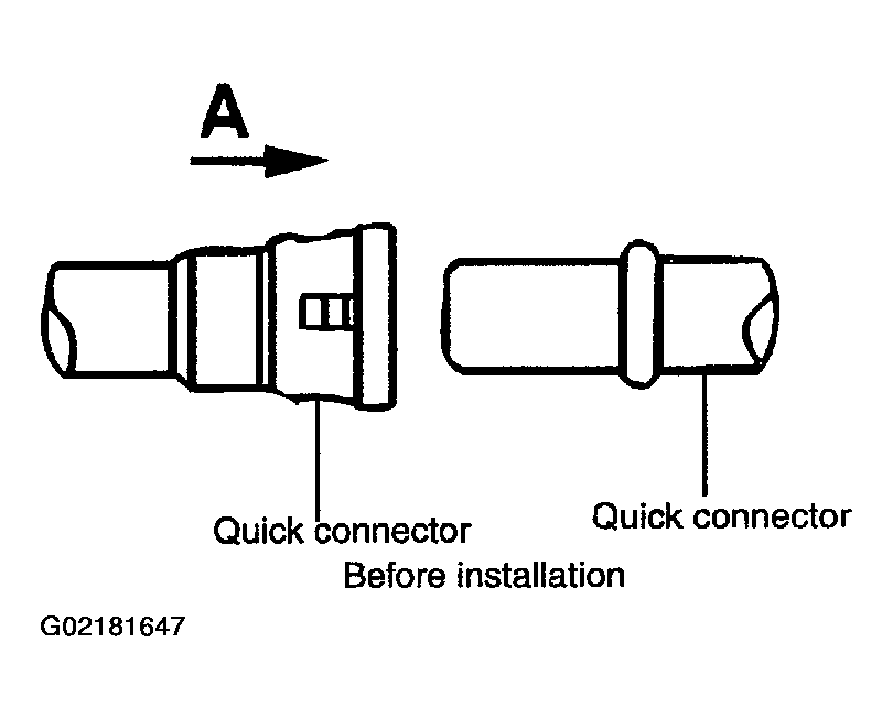 G02181647