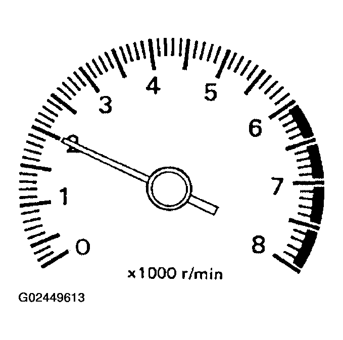 G02449613