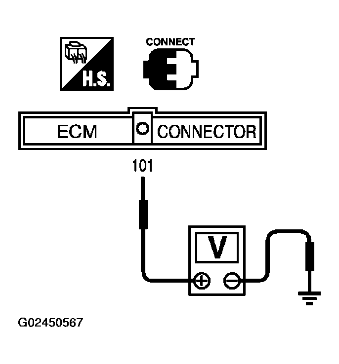 G02450567