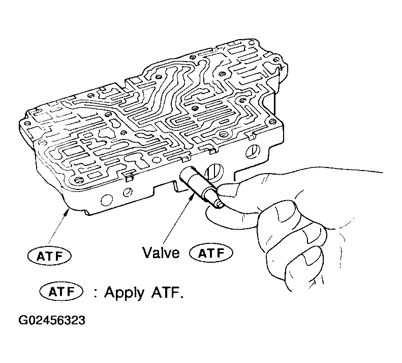 G02456323