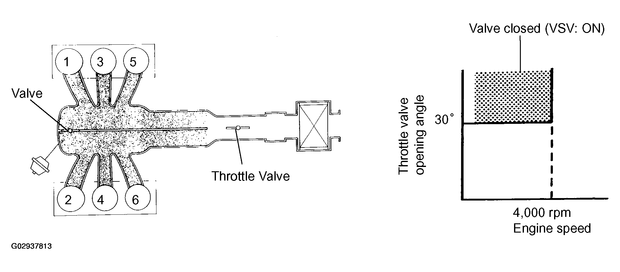 G02937813