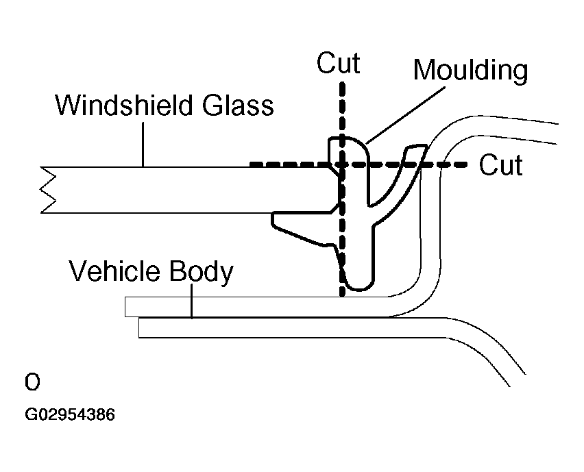 G02954386