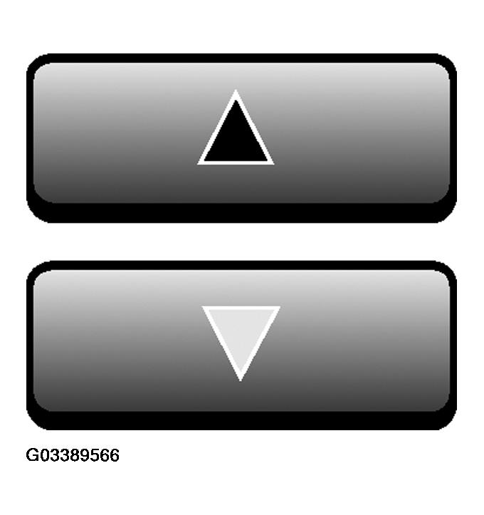 G03389566
