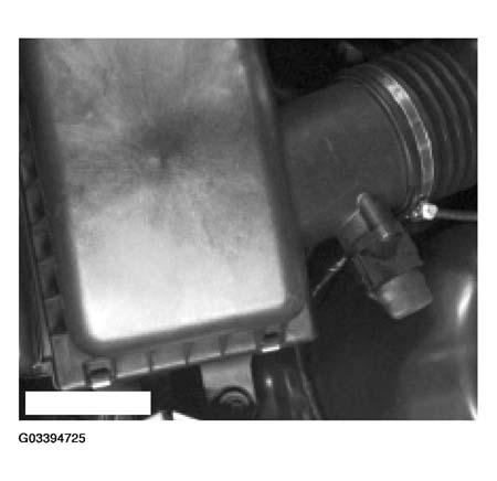 G03394725