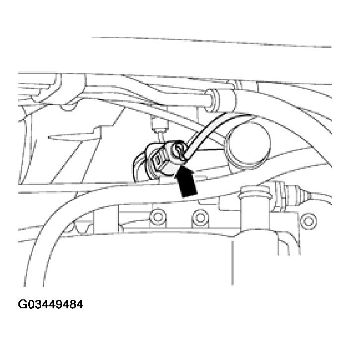 G03449484