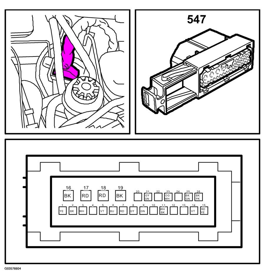 G03576604