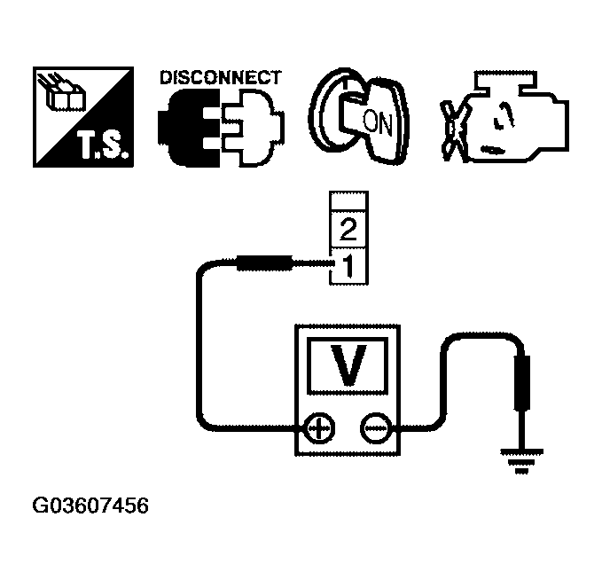 G03607456