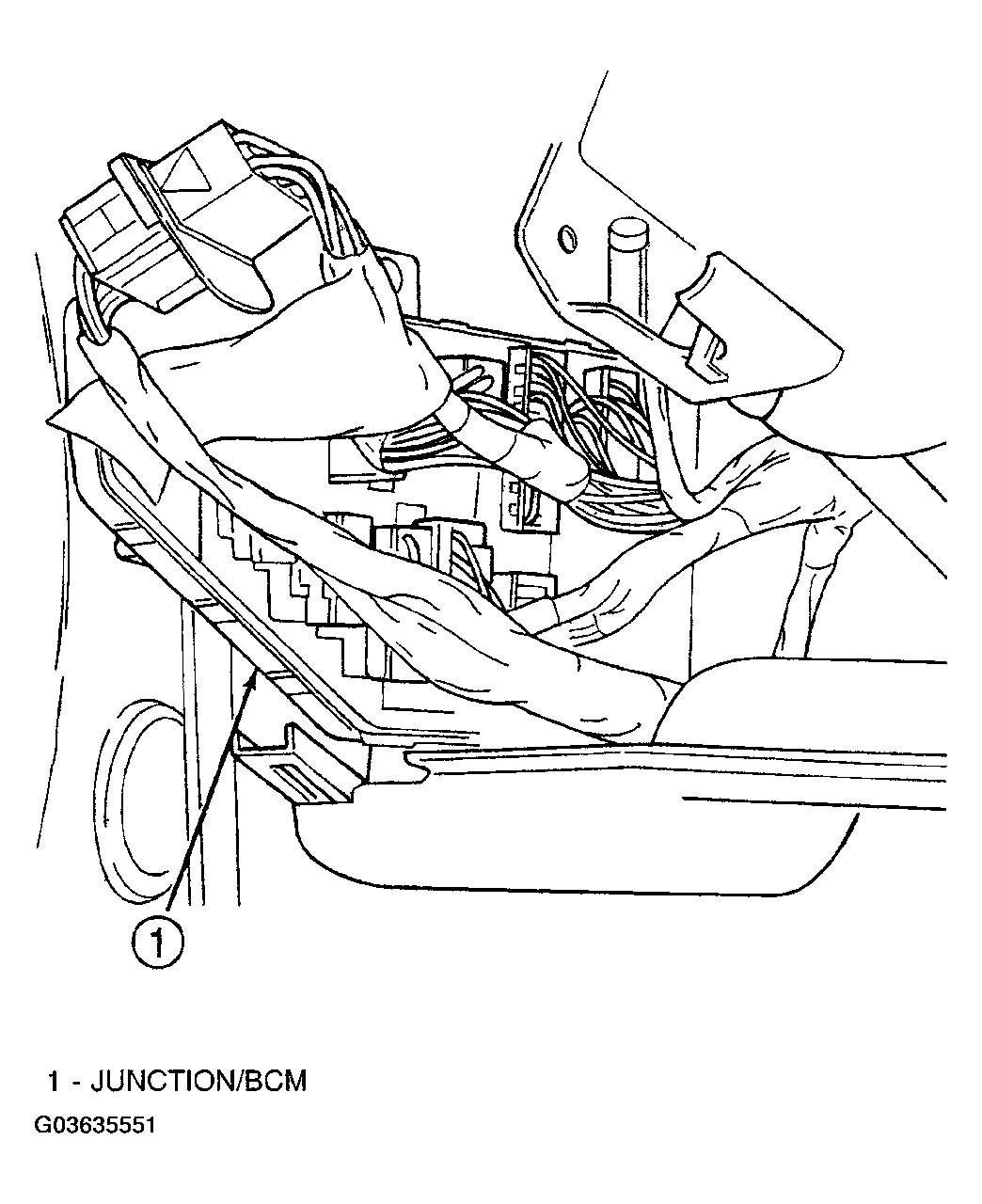 G03635551