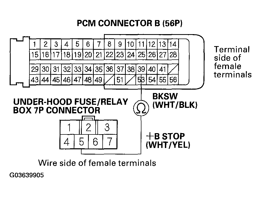 G03639905