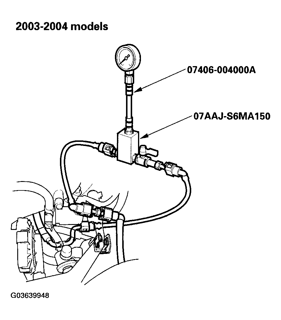 G03639948