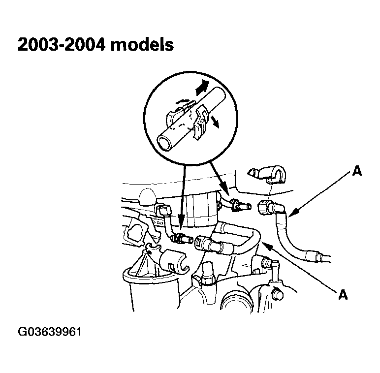 G03639961