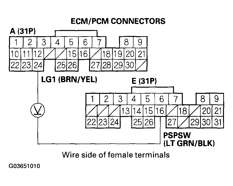 G03651010