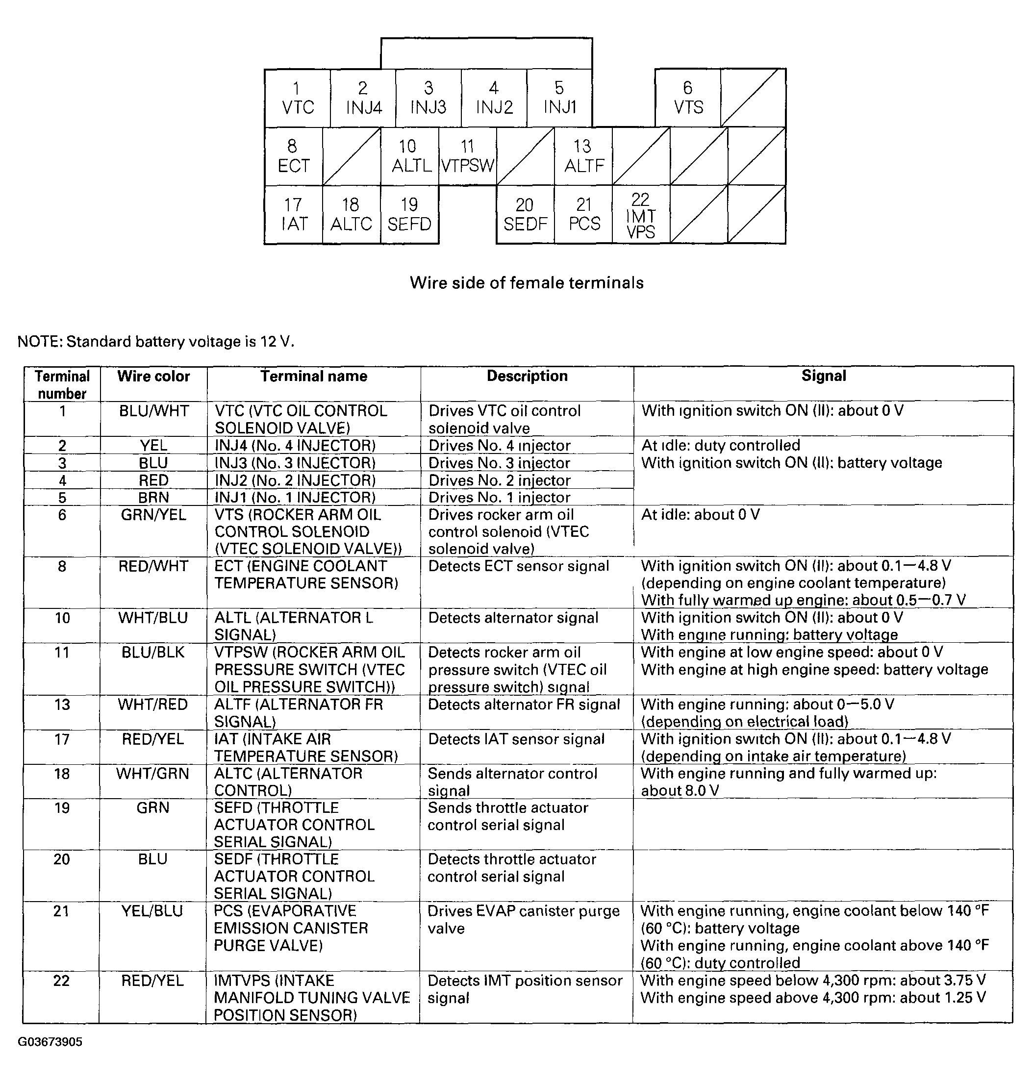 G03673905