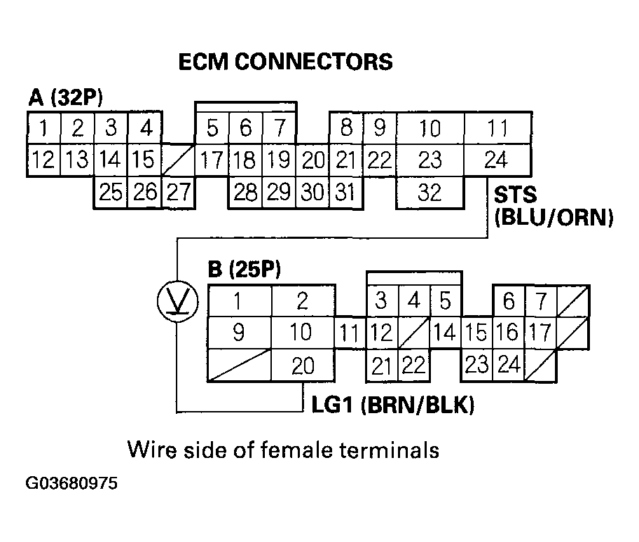 G03680975