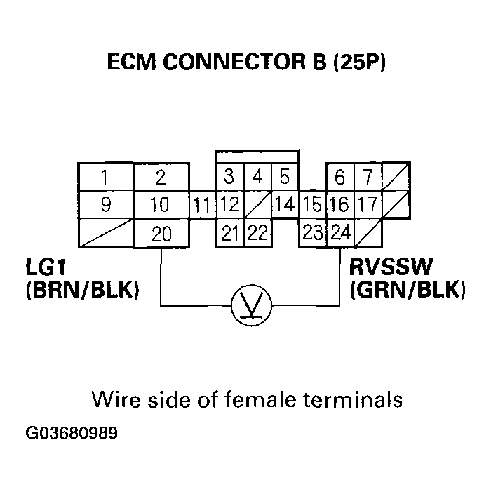 G03680989