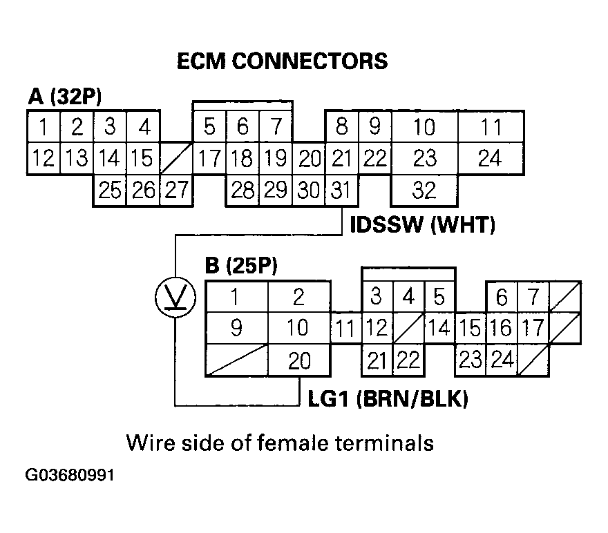 G03680991