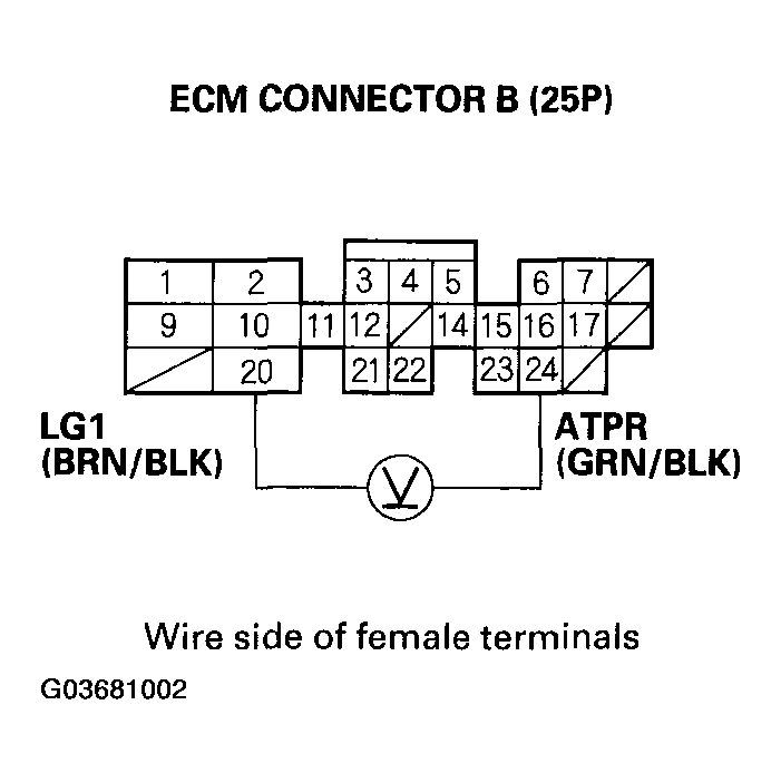 G03681002