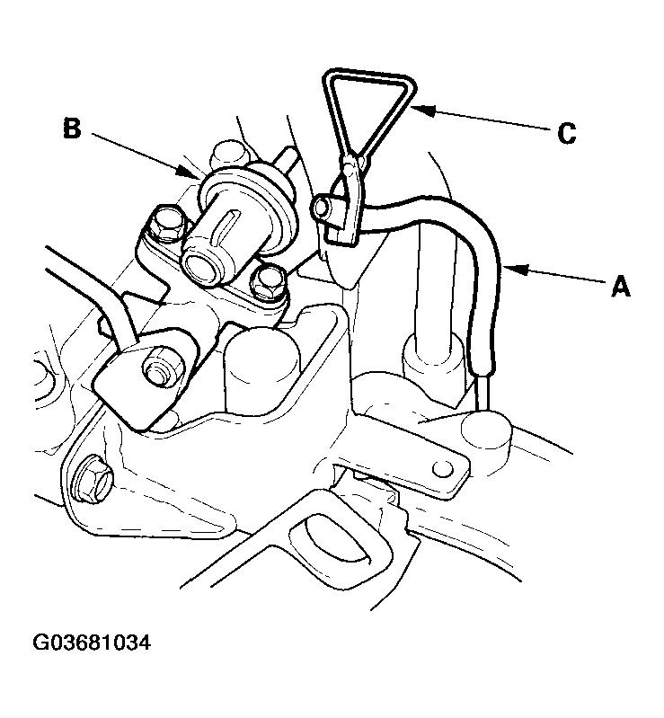 G03681034