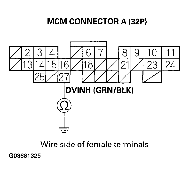 G03681325