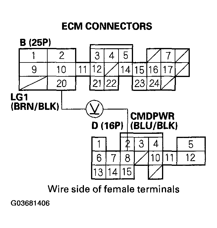 G03681406