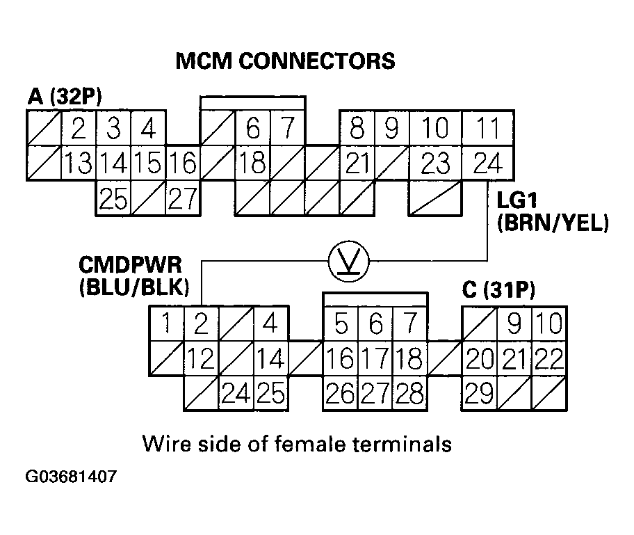 G03681407