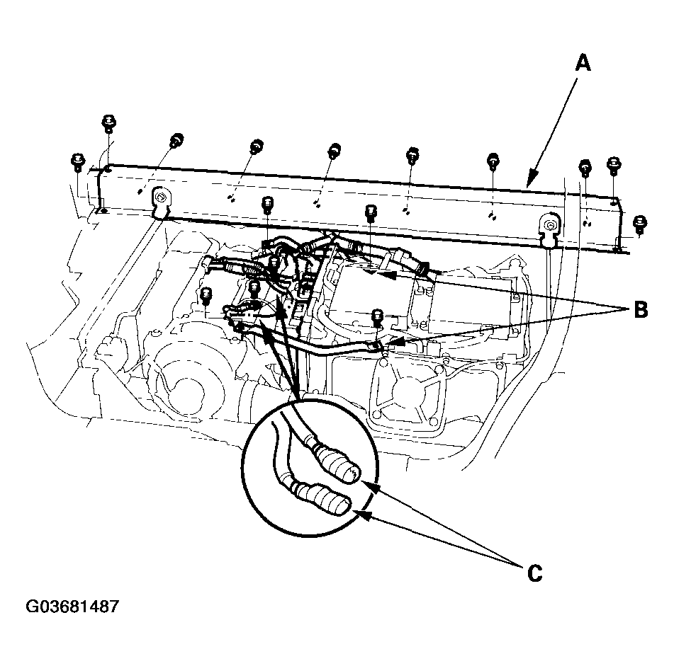 G03681487