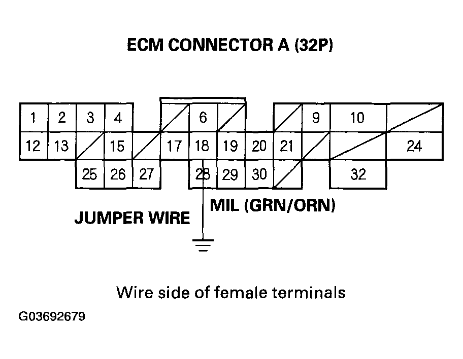 G03692679