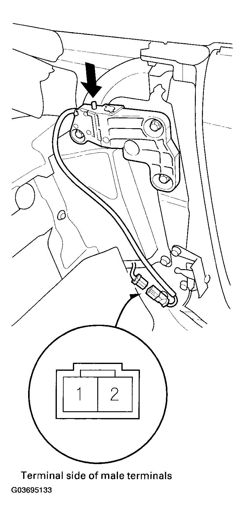 G03695133