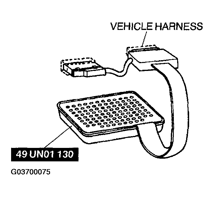 G03700075