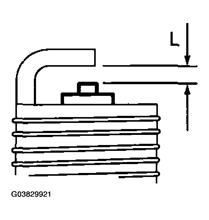 G03829921