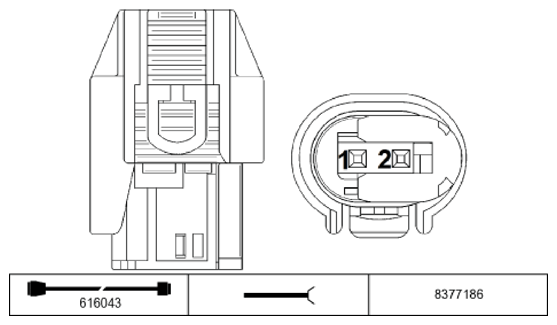 G11195569