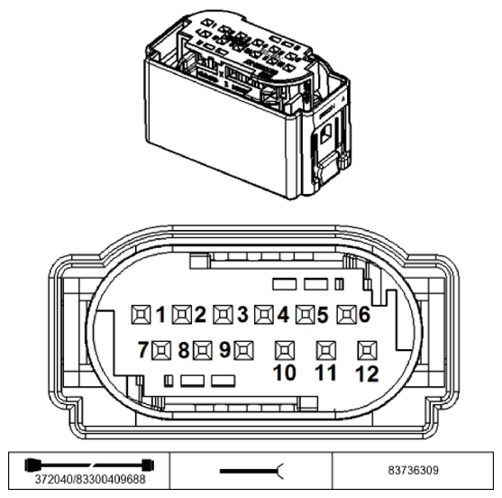 G11195629