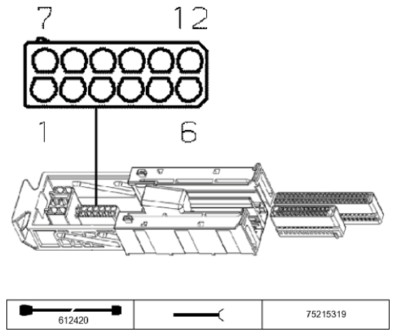 G11195653