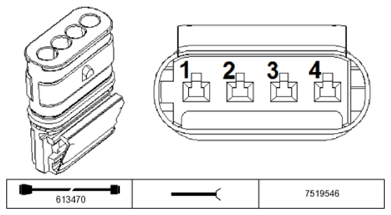 G11196062