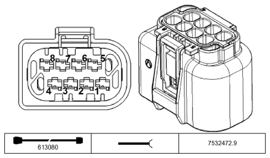 G11196086